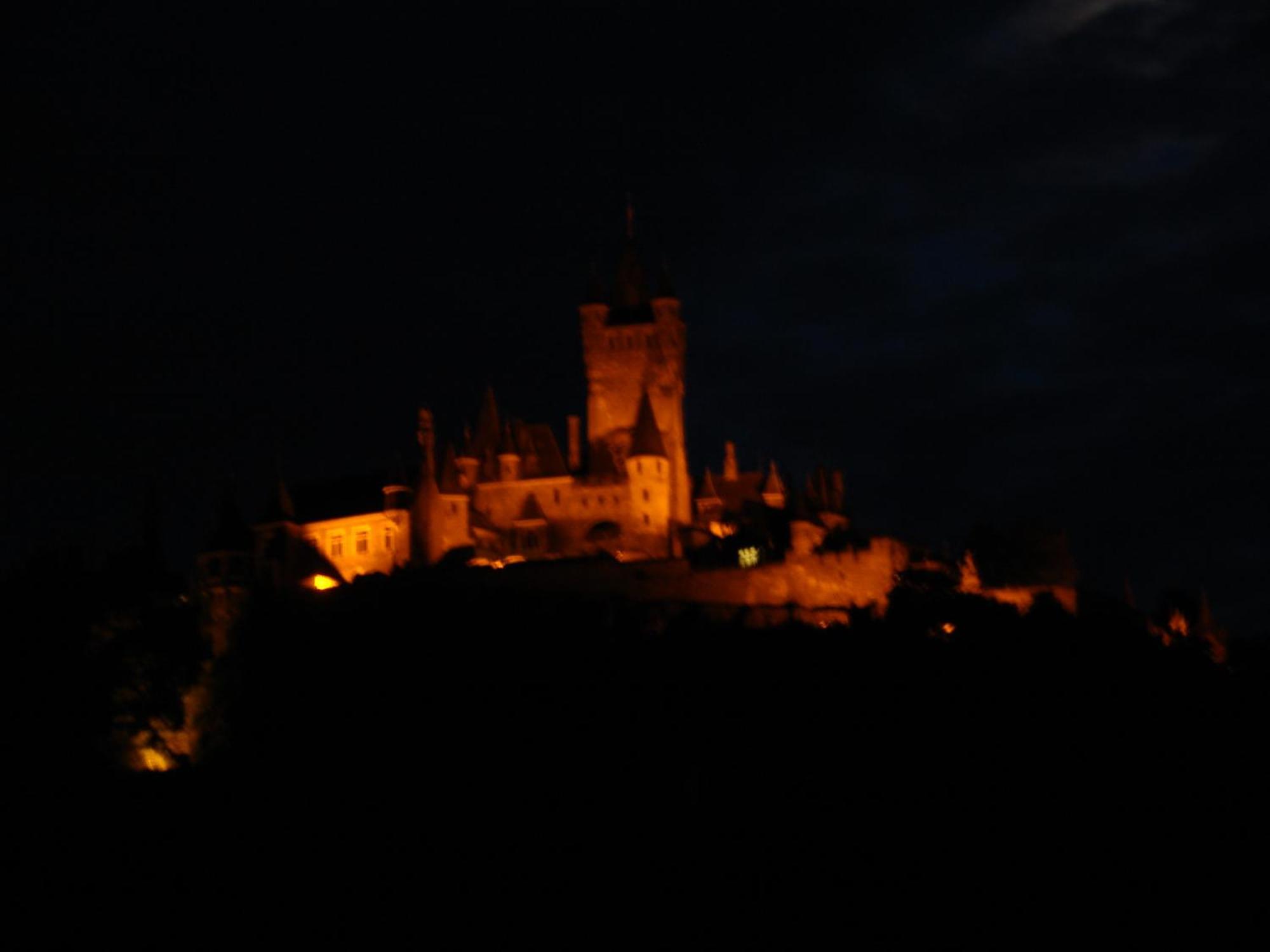 Pension Elisabeth Cochem Bagian luar foto